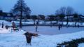 20150221_175359.jpg